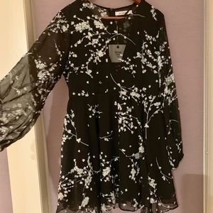 HELLOMOLLY baby doll dress with sheer sleeves.